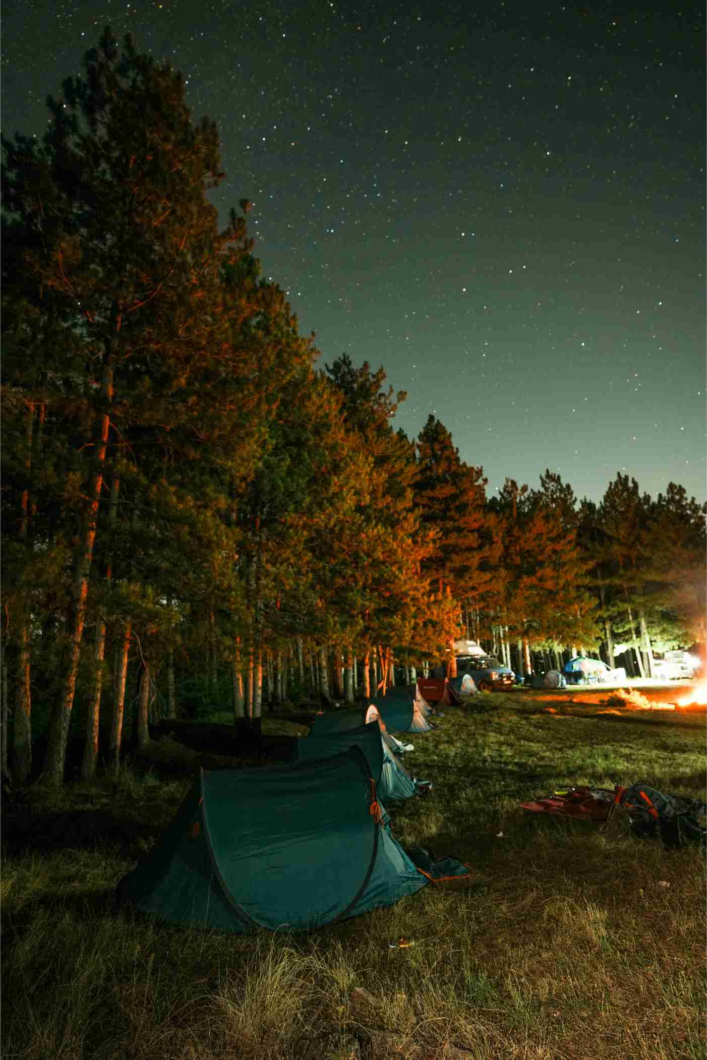 Forest Camping