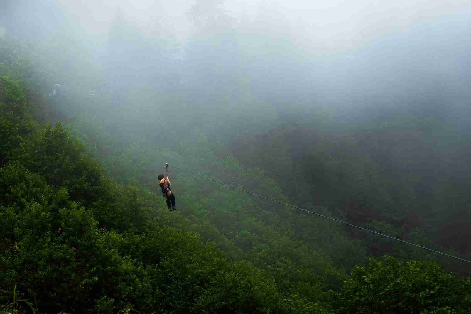 Zip Line