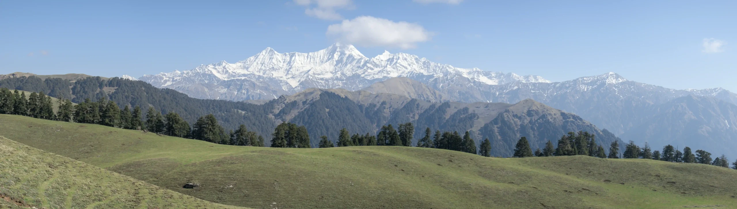 Green Dayara Bugyal meadow and snow peaks