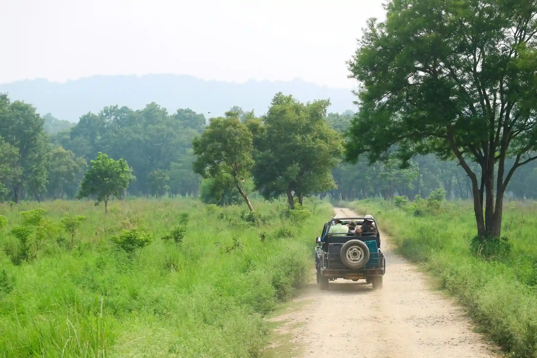 Jeep safari Jim Corbett