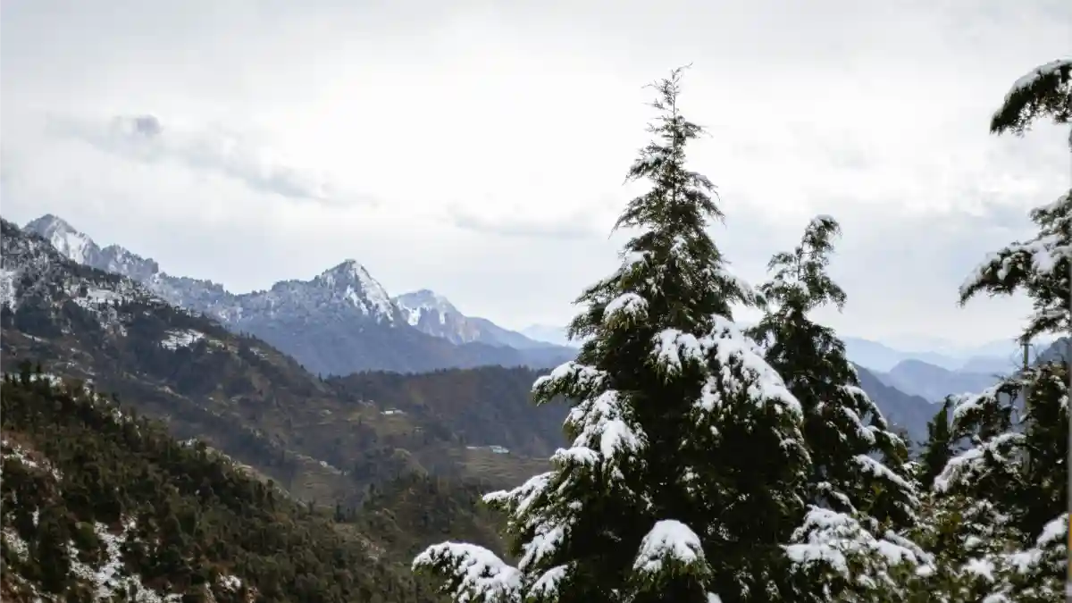 Dhanaulti