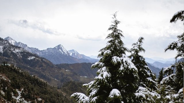 Dhanaulti snow mountains and deodar forests